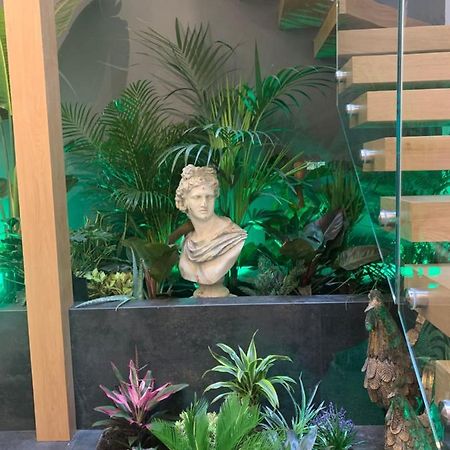 Apartament San Fernando 24 Kordoba Zewnętrze zdjęcie